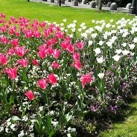 Tina Apartmán Opatija