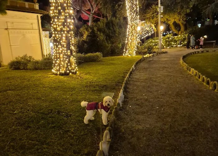 Apartment Tina Opatija