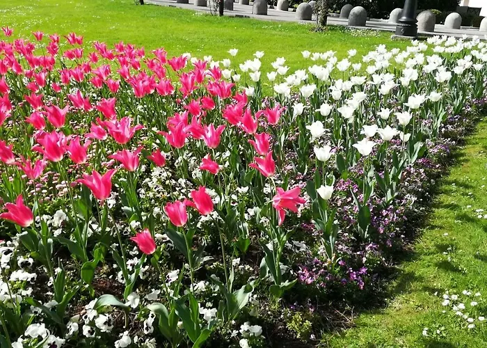 Tina Apartment Opatija